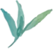 deco
