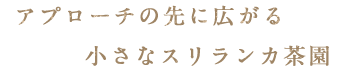 アプローチの先に広がる小さ