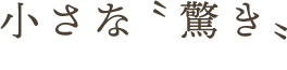 小さな〝驚き〟
