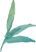 deco