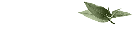 食事メニューの第2の主役