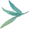 deco