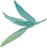 deco