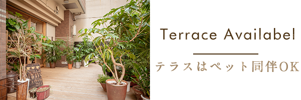Terrace Availabel