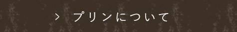 プリンについて